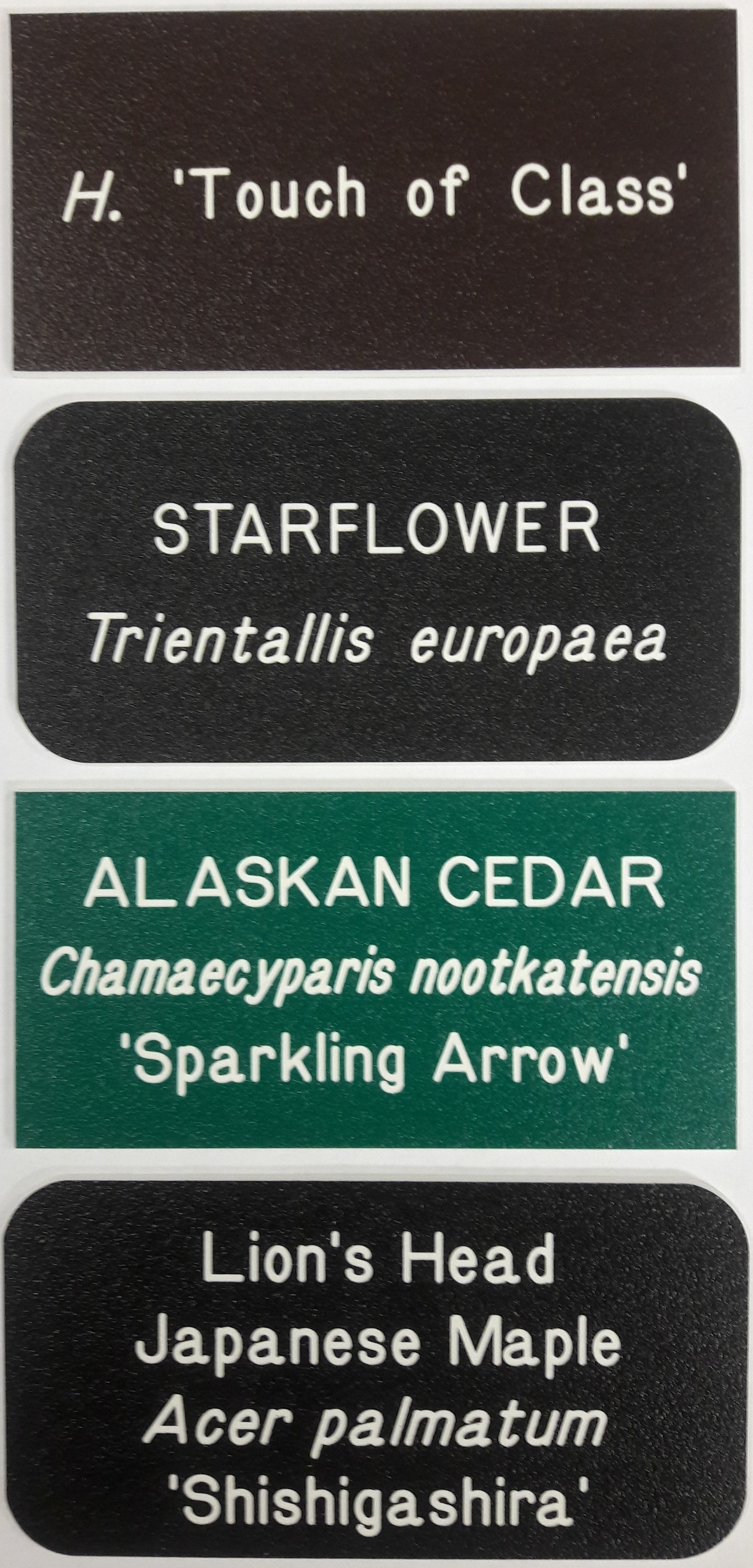 Plant Labels and Garden Markers - Markers and Plant Labels